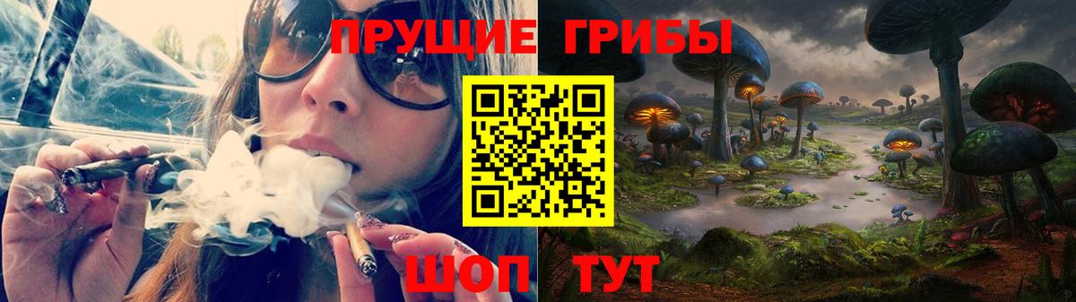 Псилоцибиновые грибы Cubensis Златоуст
